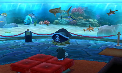 Downtime in the museum's aquarium made up of fish I've caught